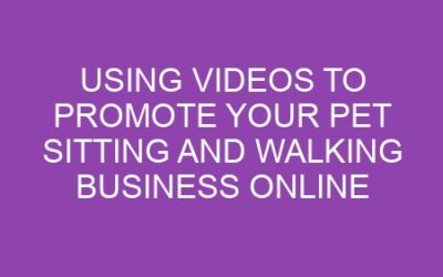 Using Videos to Promote Your Pet Sitting and Walking Business Online