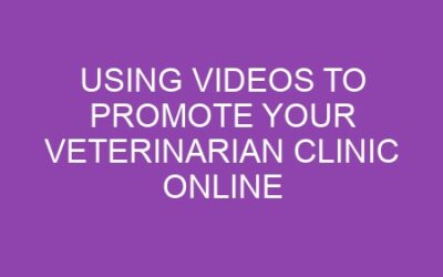 Using Videos to Promote Your Veterinarian Clinic Online