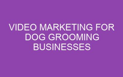 Video Marketing for Dog Grooming Businesses