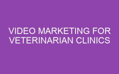 Video Marketing for Veterinarian Clinics